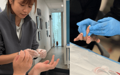 SWAN Vancouver launches mobile STBBI testing for im/migrant women engaged in indoor sex work